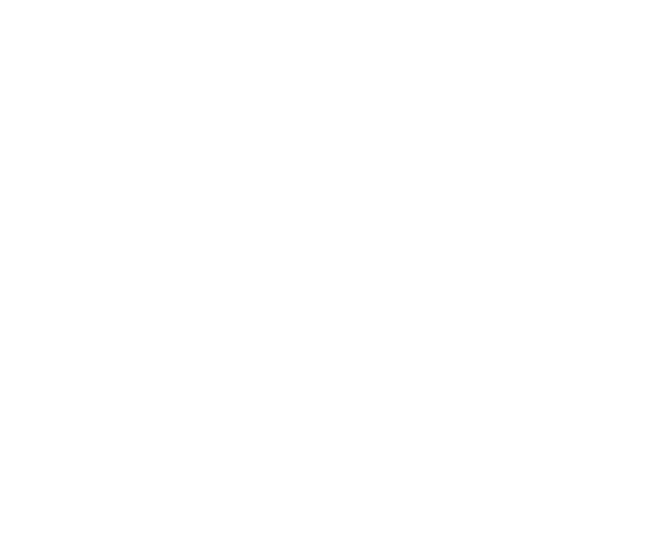 20161205 Digital Visma Logo